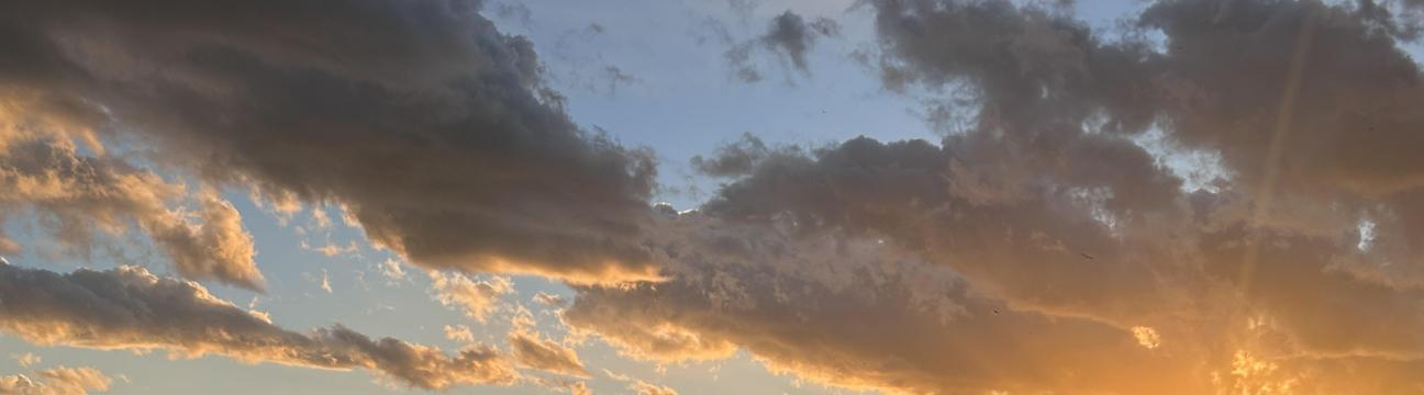 Anangan Robinson Kathirchelvan